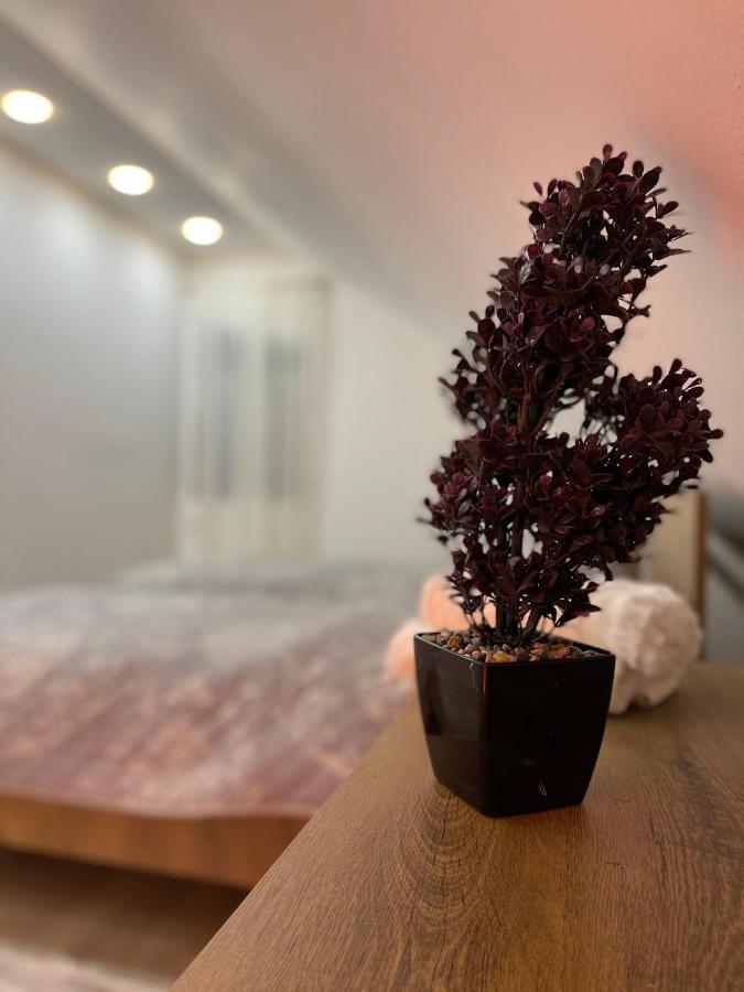 Luna Apartment Novi Pazar Eksteriør bilde
