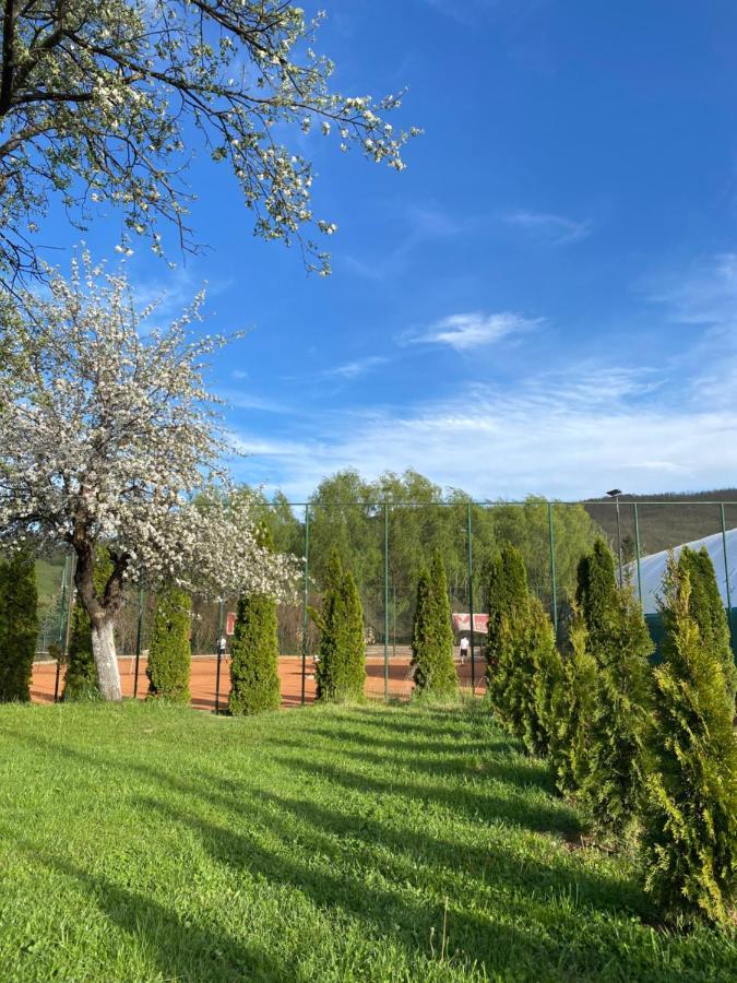 Luna Apartment Novi Pazar Eksteriør bilde